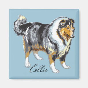 Collie Magnet