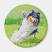 Collie Magnet (Vorne)