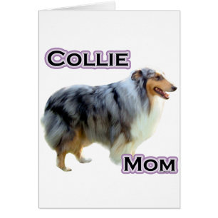 Collie Mama 4