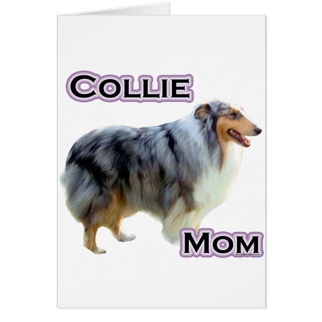 Collie Mama 4 (Vorne)