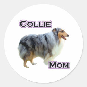 Collie Mama 4 - Aufkleber