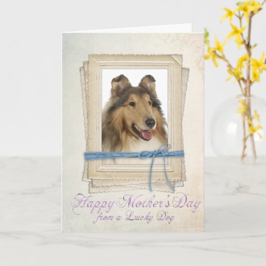Collie Mother's Day Card Karte (Gelbe Blume)
