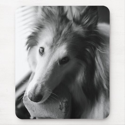 Collie Mousepad (Vorne)