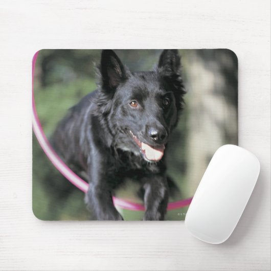 Collie Mousepad (Mit Mouse)