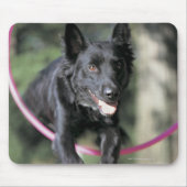Collie Mousepad (Vorne)