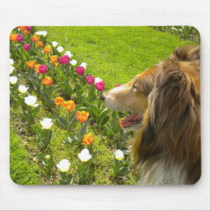 Collie N more Tulips Mouse Pad Mousepad