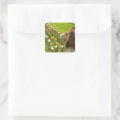 Collie N Tulips Stickers (Tasche)