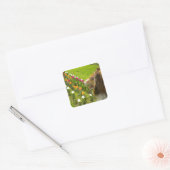 Collie N Tulips Stickers (Umschlag)