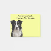 Collie oder Ihr Hunde-Foto – Füllung für den Weihn Post-it Klebezettel (Vorderseite)