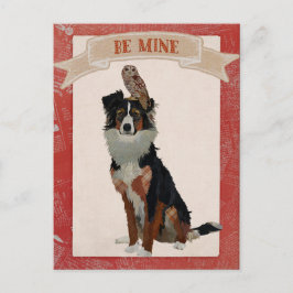COLLIE & OWL VALENTINE'S Postcard Feiertagspostkarte
