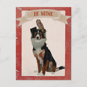 COLLIE & OWL VALENTINSTAG-Postkarte Feiertagspostkarte
