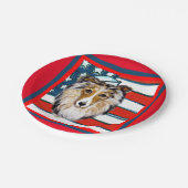 Collie Pappteller (Schrägansicht)