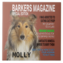 Collie Parody Magazine Cover