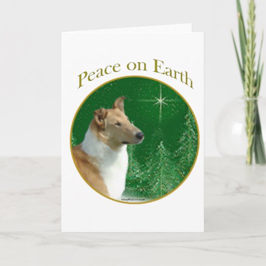Collie Peace Feiertagskarte (Vorderseite)