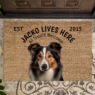 Collie Personalisiert Pet Fußmatte