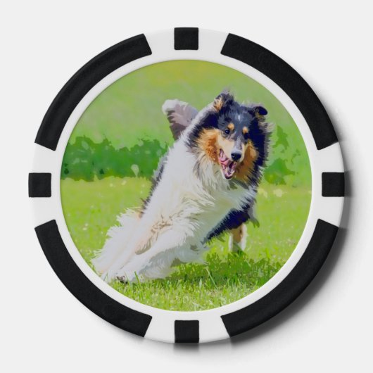 Collie Pokerchips (Vorderseite)