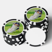 Collie Pokerchips (Stapel)