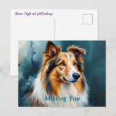 Collie Portrait Vermisst Postkarte (Vorne/Hinten)
