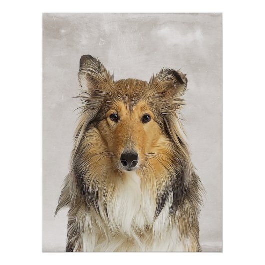 Collie Poster (Vorderseite)