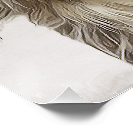 Collie Poster (Ecke)