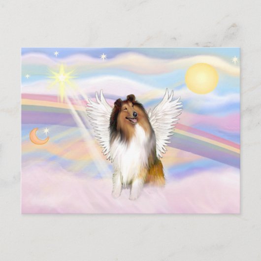 Collie Postkarte (Vorderseite)