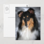 Collie Postkarte (Vorne/Hinten)