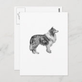Collie Postkarte (Vorne/Hinten)