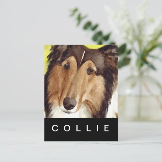 Collie Postkarte (Stehend Vorderseite)