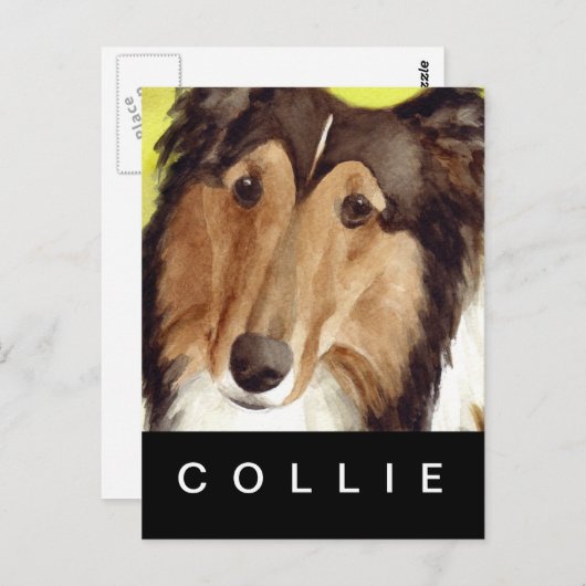 Collie Postkarte (Vorne/Hinten)
