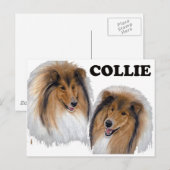 Collie Postkarte (Vorne/Hinten)
