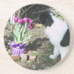Collie Pup riecht die Blume Sandstein Untersetzer