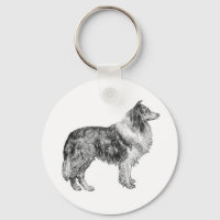 Collie