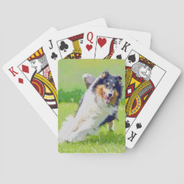 Collie Spielkarten