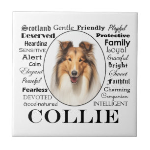 Collie Traits Fliese