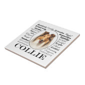 Collie Traits Fliese (Seite)