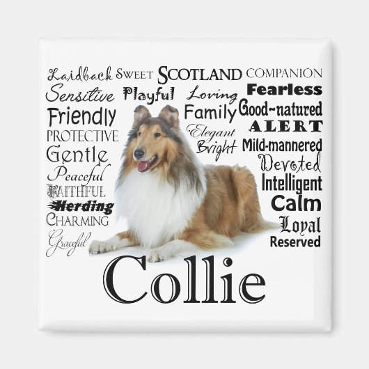 Collie Traits Magnet (Vorne)