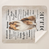 Collie Traits Sherpadecke (Vorderseite (Horizontal))