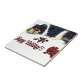 Collie Tri Color Christmas Fliese (Seite)