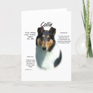 Collie (tri glatt) History Design Feiertagskarte