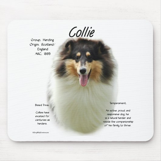 Collie (tri rau) History Design Mousepad (Vorne)
