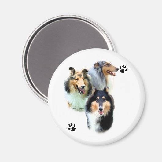 Collie Trio - Magnet (Vorderseite/Rückseite)