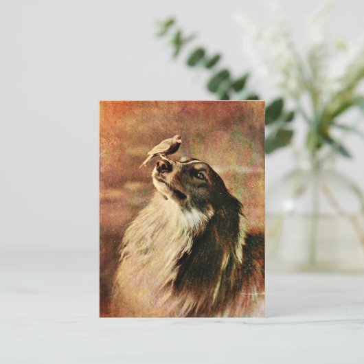 Collie und Birdie Postkarte (Stehend Vorderseite)