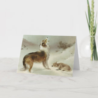 Collie und Schaf Karte