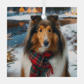 Collie Urlaub Ornament Aus Glas (Rückseite)