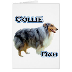 Collie Vater 4