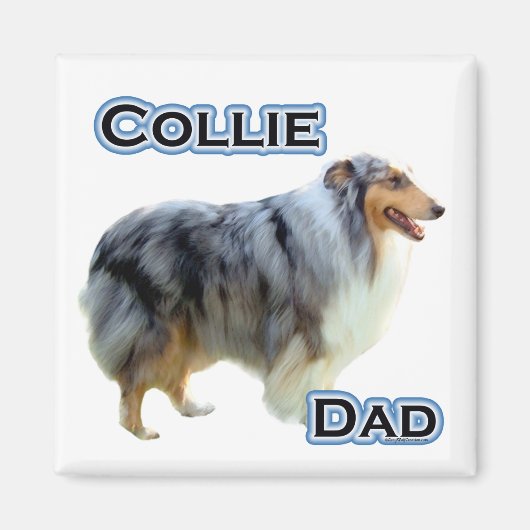 Collie Vater 4 - Magnet (Vorne)