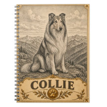 Collie, Vintage Heritage Hund