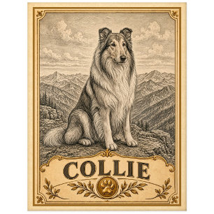 Collie, Vintage Heritage Hund Postkarte