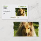 Collie-Visitenkarte Visitenkarte (Vorne/Hinten)