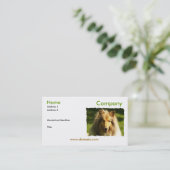 Collie-Visitenkarte Visitenkarte (Stehend Vorderseite)